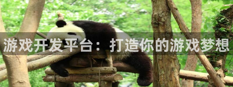 沐鸣2代理官网