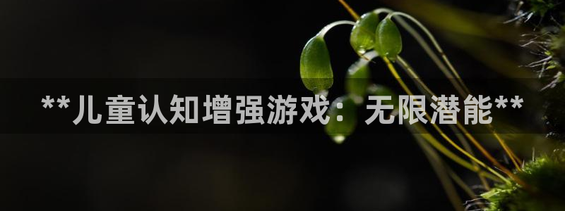 沐鸣娱乐2多彩平台