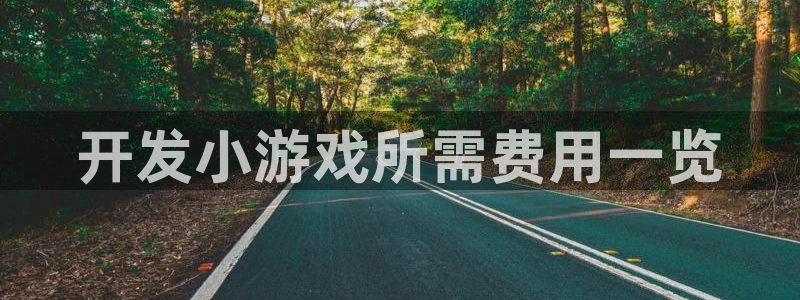 沐鸣娱乐2怎么登录账号：开发小游戏所需费用一览