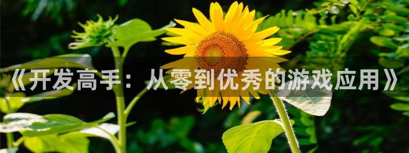 沐鸣娱乐2不能注册：《开发高手：从零到优秀的游戏应用》