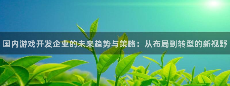 沐鸣娱乐2官方平台投诉：国内游戏开发企业的未来趋势与策略：从布局到转型的新视野