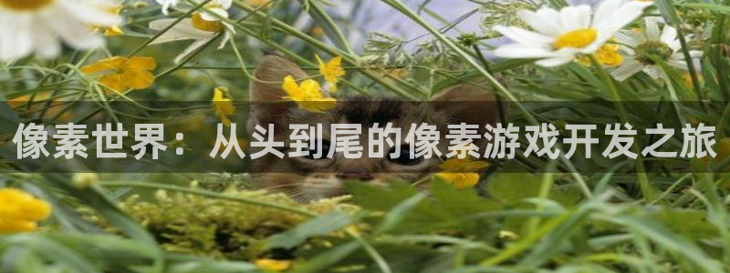 沐鸣2代理酋27337：像素世界：从头到尾的像素游戏开发之旅