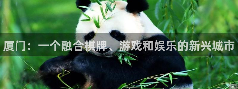沐鸣娱乐2登录平台是什么：厦门：一个融合棋牌、游戏和娱乐的新兴城市