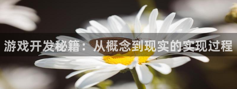 沐鸣娱乐2不能注册：游戏开发秘籍：从概念到现实的实现过程