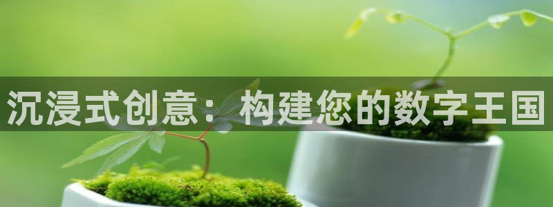 沐鸣娱乐2不能注册：沉浸式创意：构建您的数字王国