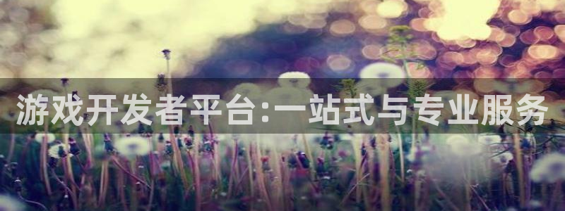 沐鸣2输钱能要回来吗：游戏开发者平台:一站式与专业服务