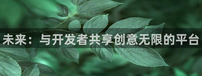 沐鸣2手机网页版：未来：与开发者共享创意无限的平台