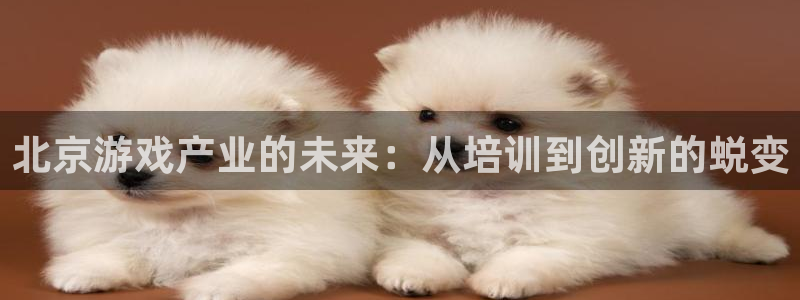 沐鸣2选 37OO735：北京游戏产业的未来：从培训到创新的蜕变
