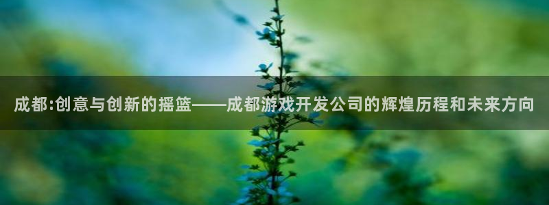 沐鸣2平台登录线路：成都:创意与创新的摇篮——成都游戏开发公司的辉煌历程和未来方向