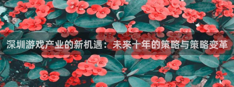 沐鸣娱乐2登录平台是什么软件：深圳游戏产业的新机遇：未来十年的策略与策略变革