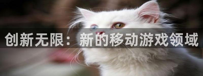 沐鸣娱乐2登入：创新无限：新的移动游戏领域