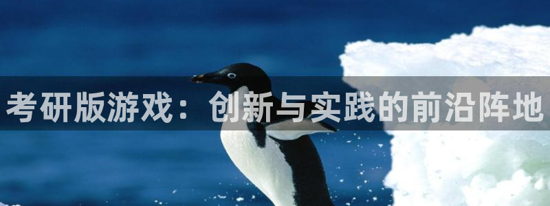 沐鸣2官网注册地址：考研版游戏：创新与实践的前沿阵地