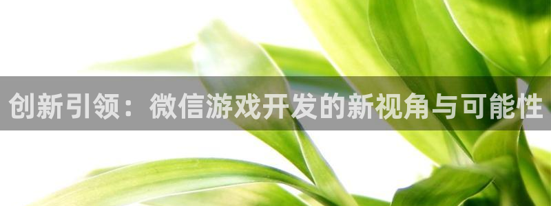 沐鸣娱乐2黑客户吗