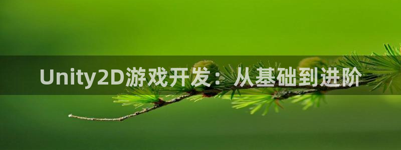 沐鸣2平台负责人：Unity2D游戏开发：从基础到进阶