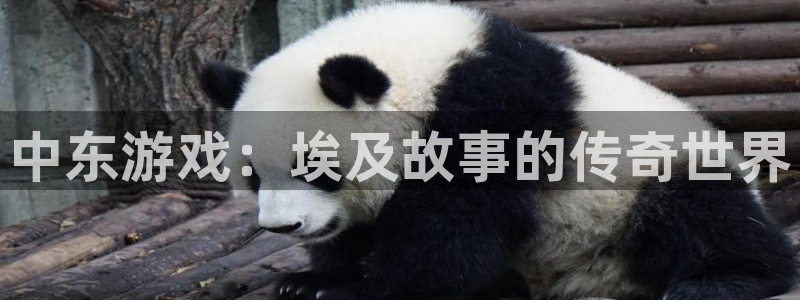 沐鸣2app官方：中东游戏：埃及故事的传奇世界
