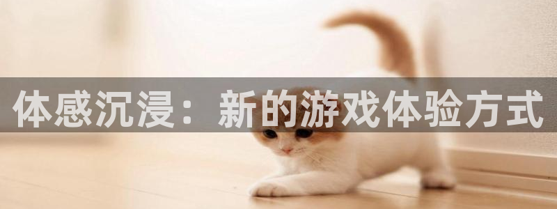 沐鸣平台由44262：体感沉浸：新的游戏体验方式