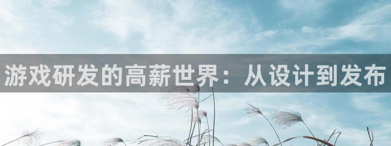 沐鸣娱乐2上来77542：游戏研发的高薪世界：从设计到发布