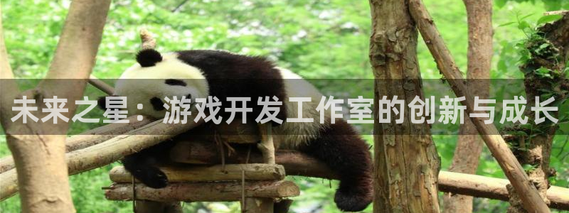沐鸣2平台注册