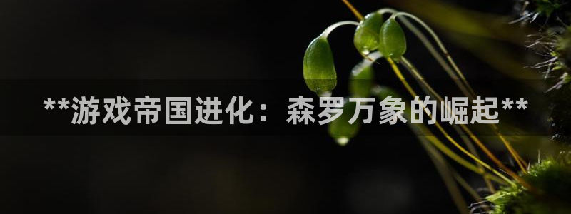 沐鸣2撤35994还和：**游戏帝国进化：森罗万象的崛起**