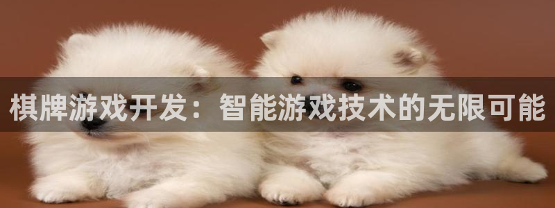 沐鸣2购35994胀：棋牌游戏开发：智能游戏技术的无限可能