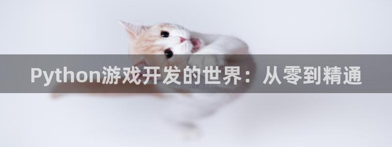 沐鸣娱乐2不能注册