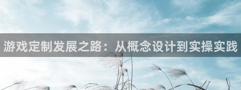 沐鸣娱乐2登录地址：游戏定制发展之路：从概念设计到实操实践