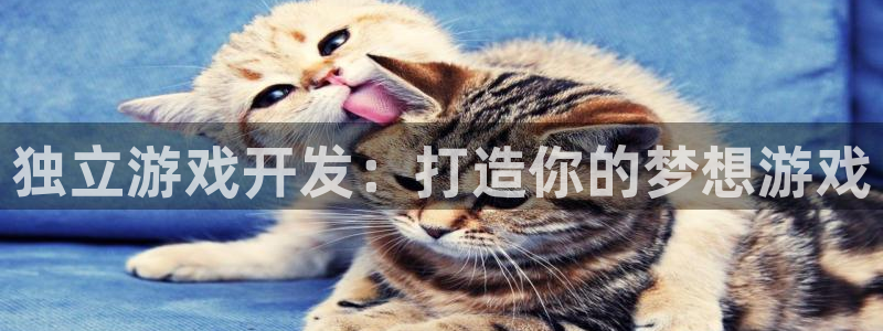 沐鸣2平台在线注册：独立游戏开发：打造你的梦想游戏