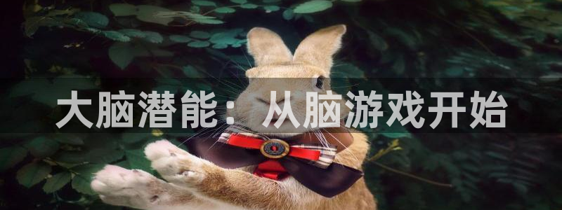 沐鸣娱乐2代理：大脑潜能：从脑游戏开始