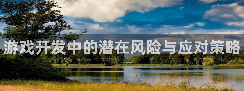 沐鸣娱乐2测速登陆：游戏开发中的潜在风险与应对策略