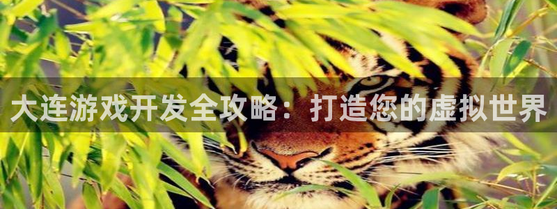沐鸣2测速登录：大连游戏开发全攻略：打造您的虚拟世界